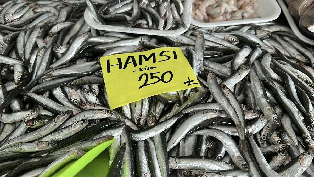 2 ayda 300 bin ton balık avlandı: "Hızlı avcılık pek &ccedil;ok sıkıntı getirdi" 5