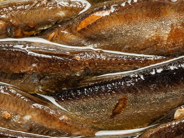 120 g&uuml;n boyunca her g&uuml;n sardalya yedi: Sonucu şaşırttı 