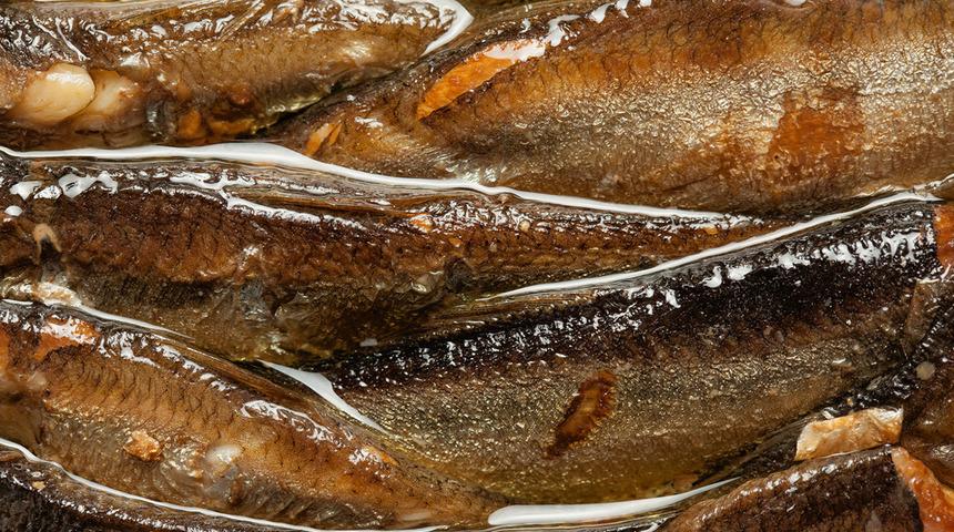 Bir kadın 120 g&uuml;n boyunca her g&uuml;n sardalya yedi: Sonucu şaşırttı