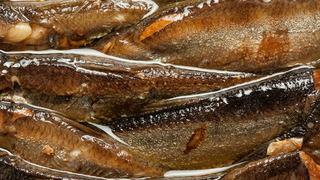 Bir kadın 120 gün boyunca her gün sardalya yedi: Sonucu şaşırttı