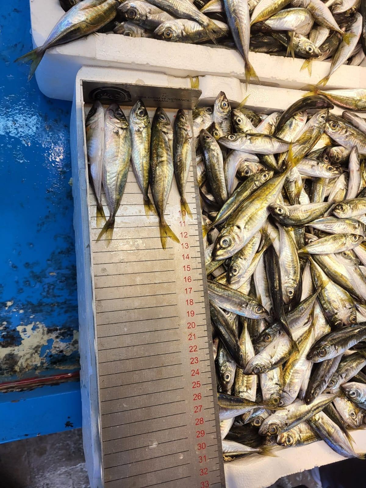 Yasak başladı: 4,5 ay s&uuml;recek  B&uuml;y&uuml;k &ouml;nem taşıyor  2