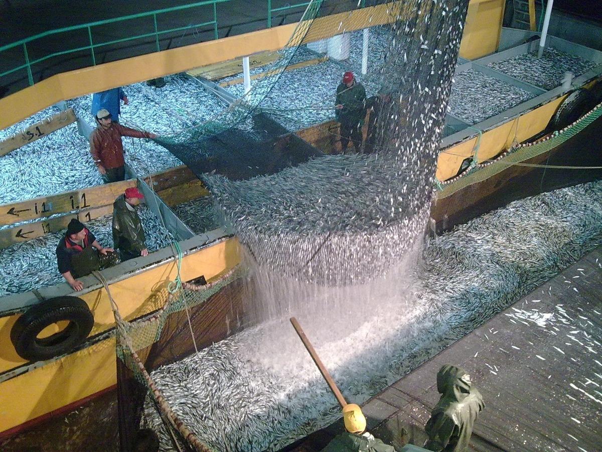 Yasak başladı: 4,5 ay s&uuml;recek  B&uuml;y&uuml;k &ouml;nem taşıyor  3