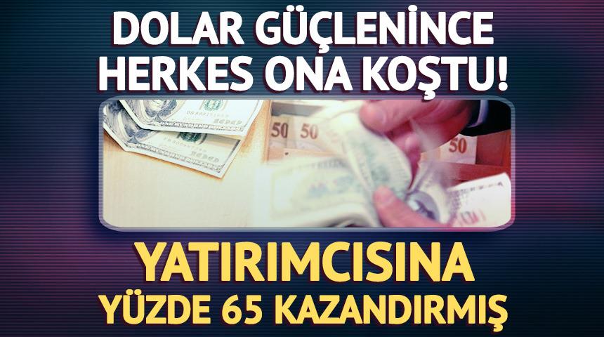 Dolar g&uuml;&ccedil;lenince T&uuml;rk yatırımcı altına mı BTC&rsquo;ye mi ka&ccedil;ıyor?