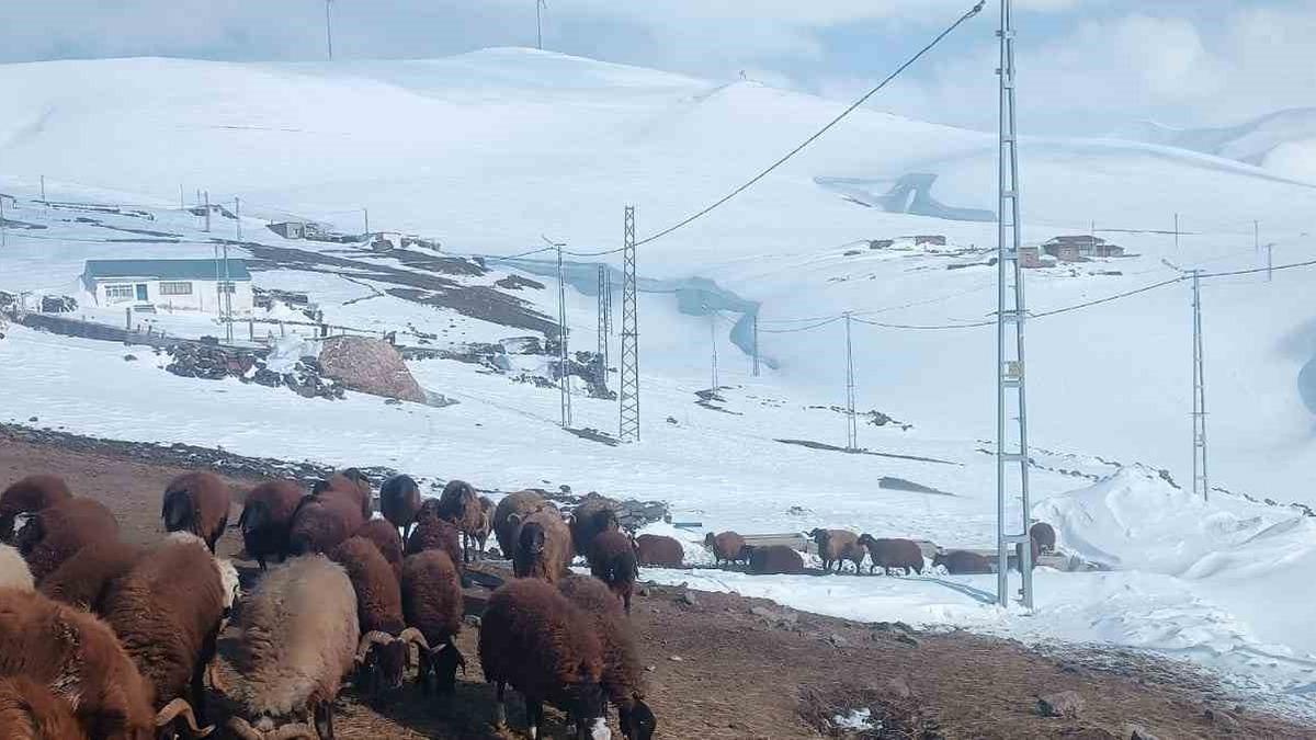 Ağrı’da Nisan ayında kar yağışı yolları kapattı