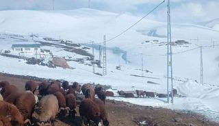 Ağrı&rsquo;da Nisan ayında kar yağışı yolları kapattı