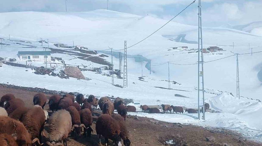 Ağrı&rsquo;da Nisan ayında kar yağışı yolları kapattı