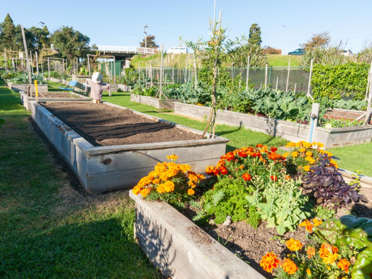 Erdoğan talimat verecek: Sadece onlara yaptırım yok!  1