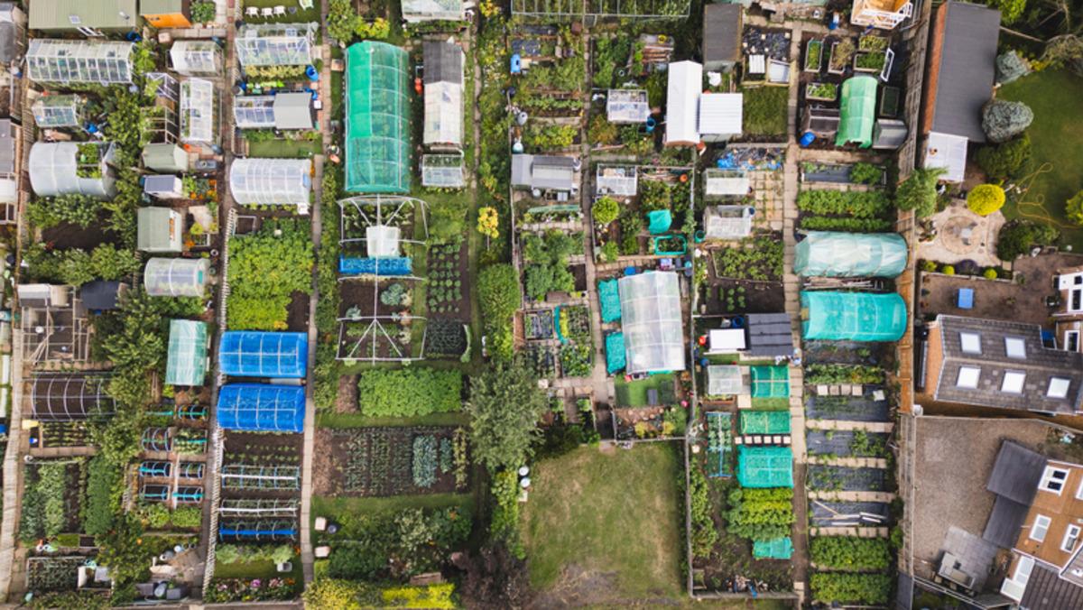 Erdoğan talimat verecek: Sadece onlara yaptırım yok!  3