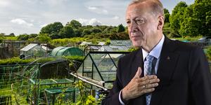 Sadece onlara yaptırım yok! 