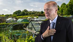 Erdoğan talimat verecek: Sadece onlara yaptırım yok! 