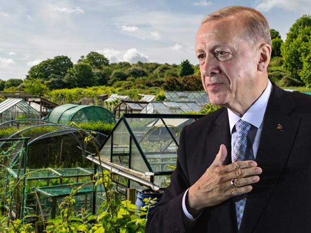 Erdoğan talimat verecek: Sadece onlara yaptırım yok! 