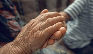 En uzun yaşayan 5 bur&ccedil; belli oldu