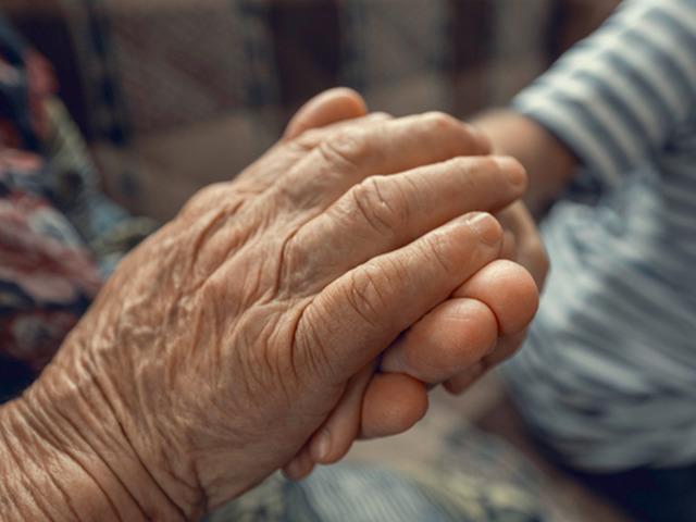 En uzun yaşayan 5 bur&ccedil; belli oldu