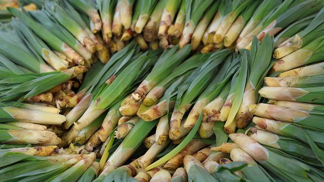 Dağlardan toplanan doğal antibiyotik tezgahta! 100 liraya satılıyor, alan stok yapıyor