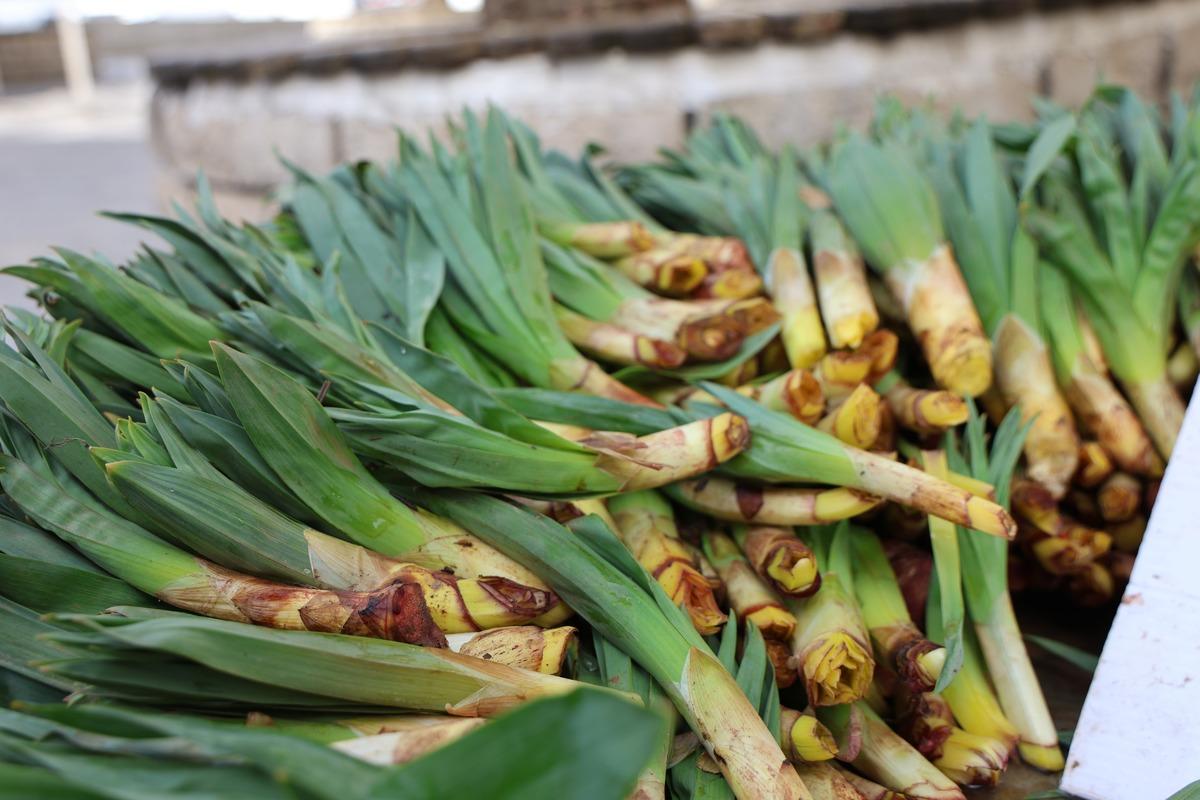 Dağlardan toplanan doğal antibiyotik tezgahta! 100 liraya satılıyor, alan stok yapıyor 1