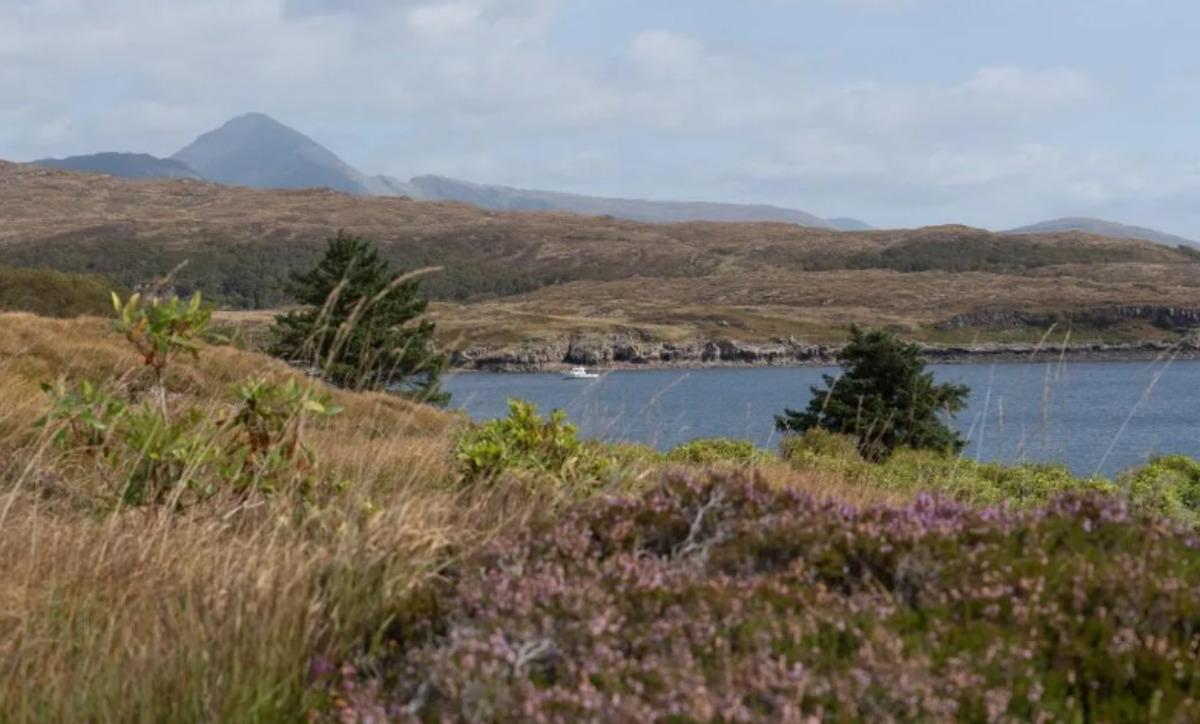 Evi alan adanın da sahibi oluyor! İstanbul da apartman dairesi fiyatına İngiltere de ada 5