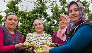Mersin'de hasat başladı: Fiyatı 200 TL'ye kadar d&uuml;şt&uuml;!