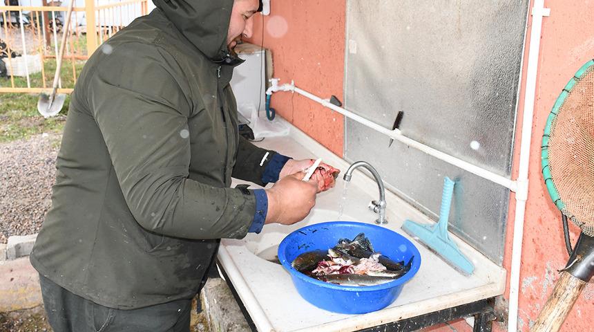 Kaynak suyunda yetişiyor, 300 liraya satılan balık i&ccedil;in talep patladı