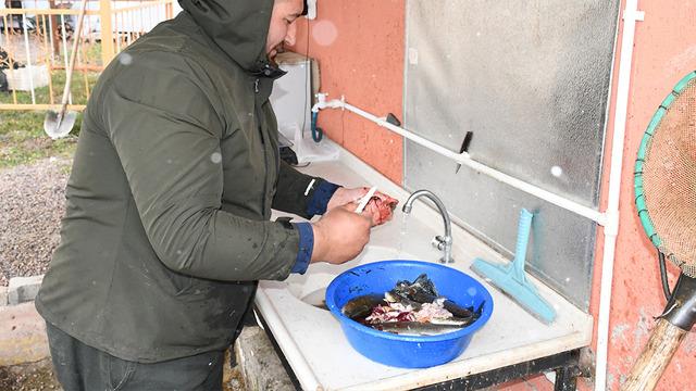 Kaynak suyunda yetişiyor, 300 liraya satılan balık için talep patladı