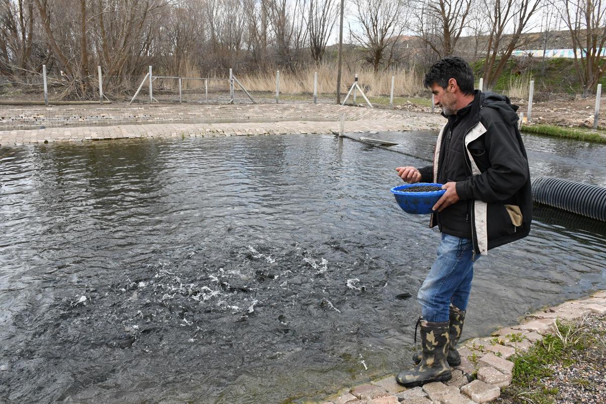 Kaynak suyunda yetişiyor, 300 liraya satılan balık için talep patladı 1