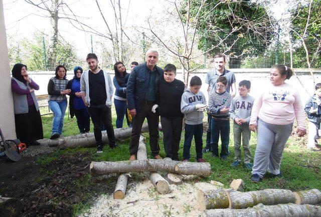 Özel öğrencilerden mantarın yolculuğu çalışması