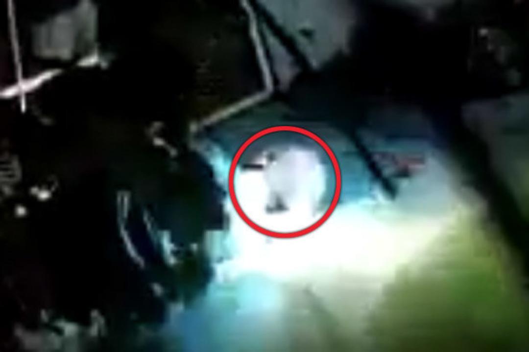 Tecav&uuml;zc&uuml;y&uuml; timsaha yem ettiler