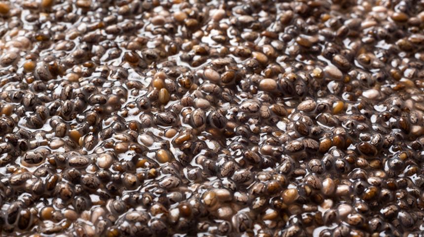 TikTok'un yeni detoks trendi: "Chia suyu" işe yarıyor mu?