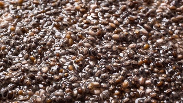 TikTok'un yeni detoks trendi: Chia suyu işe yarıyor mu?