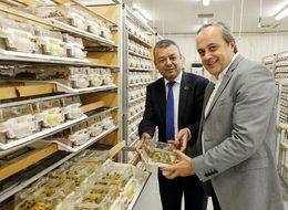 Antalya'dan dünyaya arı ihracatı