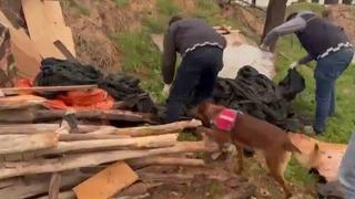 Aksaray’da çuval içine gizlenmiş 11 bin adet uyuşturucu hap ele geçirildi: 3 tutuklama