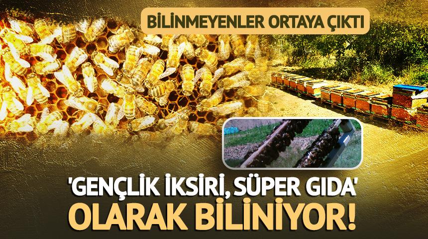 'Gen&ccedil;lik iksiri, s&uuml;per gıda' olarak biliniyor