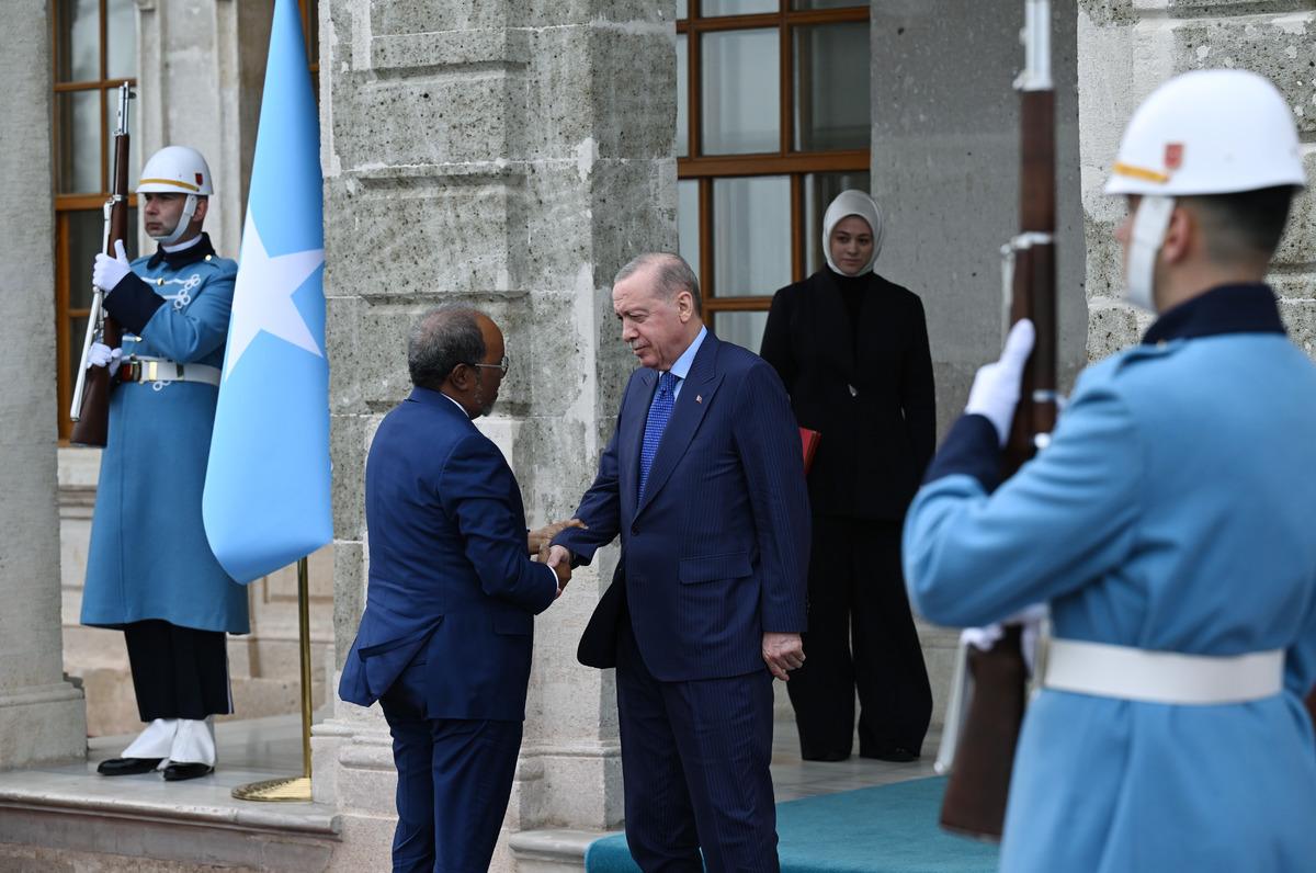 Cumhurbaşkanı Erdoğan, Somali Cumhurbaşkanı Mahmud ile görüştü 1