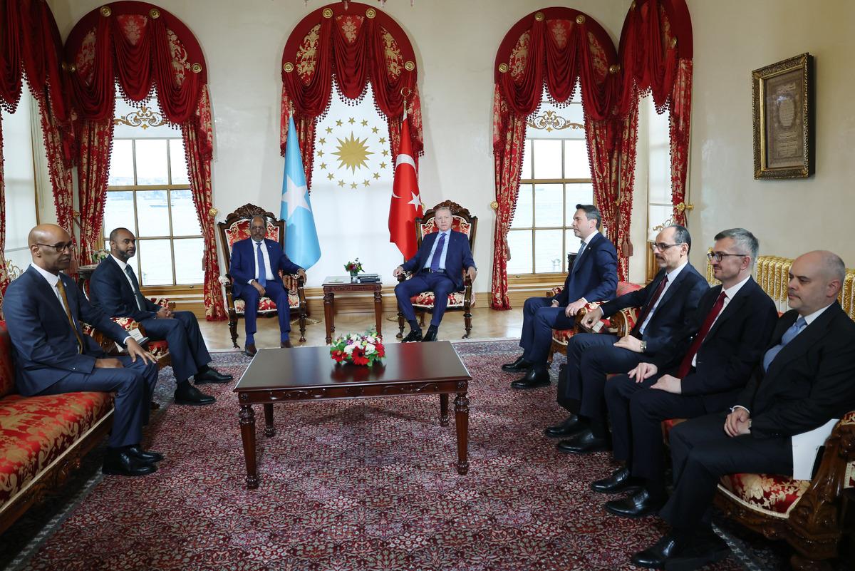 Cumhurbaşkanı Erdoğan, Somali Cumhurbaşkanı Mahmud ile görüştü 2