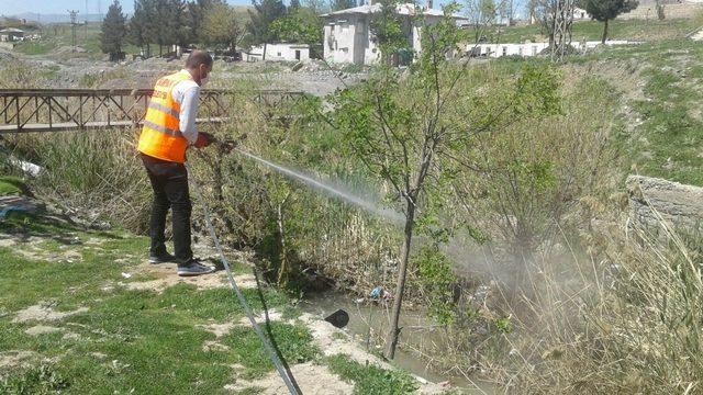 Şırnak’ta larvalara karşı ilaçlama çalışması başlatıldı