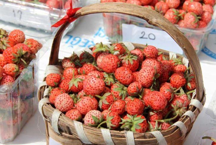 Meyve bile vermeden hepsi satıldı G2