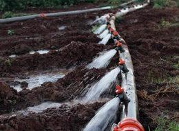 Tarımsal sulamada elektrik tüketimi yüzde 260 arttı