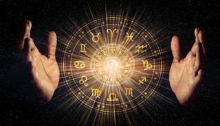 Sessiz ama tehlikeliler! Her adımı hesaplayan en kurnaz bur&ccedil;lar