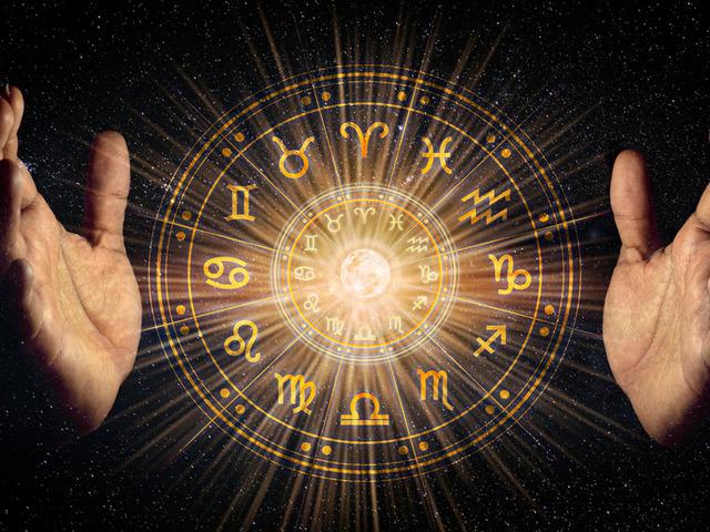 Sessiz ama tehlikeli! Her adımı hesaplayan en kurnaz bur&ccedil;lar