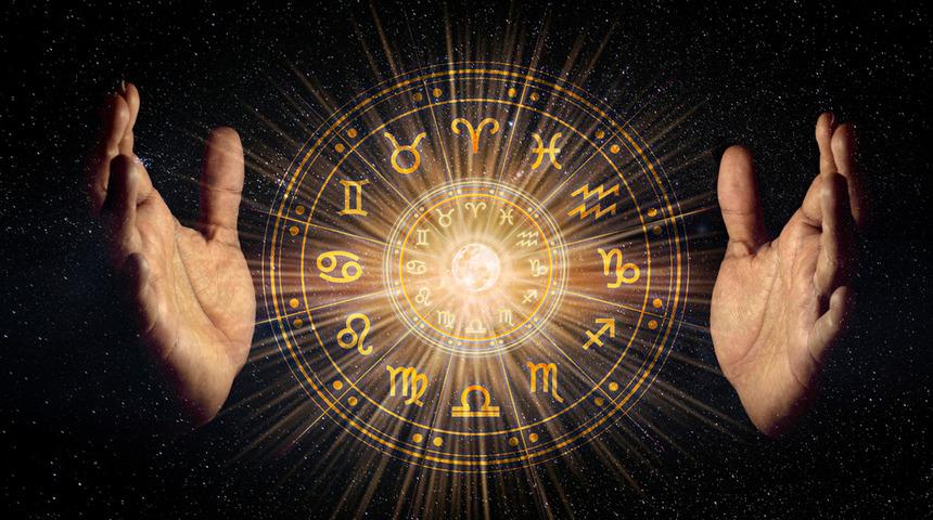 Sessiz ama tehlikeliler! Her adımı hesaplayan en kurnaz bur&ccedil;lar