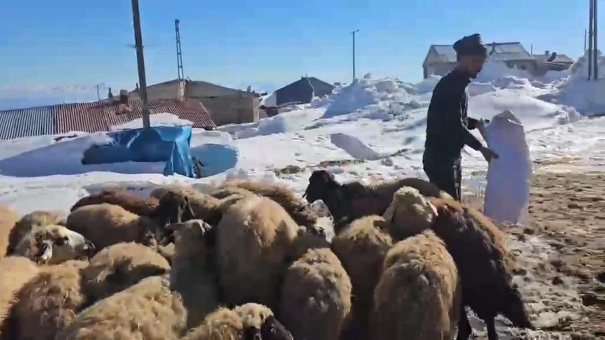 Bir mahalle Nisanda kara g&ouml;m&uuml;ld&uuml;! 3 metreyi aşan kar şaşkına &ccedil;evirdi 3