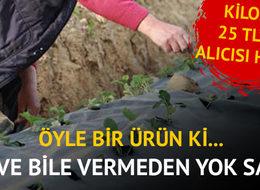 Meyve bile vermeden hepsi satıldı