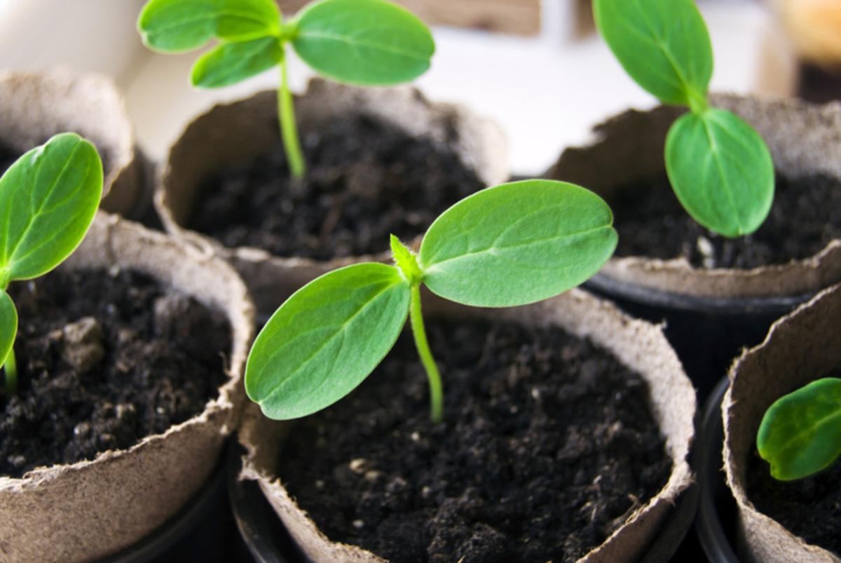 Herkes &ccedil;&ouml;pe atıyor ama b&uuml;y&uuml;k hata! Tuvalet kağıdı rulosunun değeri sonradan anlaşılıyor 4