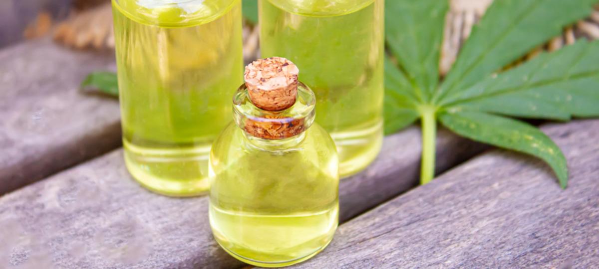 Karınca istilasına 1 g&uuml;nde &ccedil;&ouml;z&uuml;m! Bu kokudan ka&ccedil;ıyorlar 3