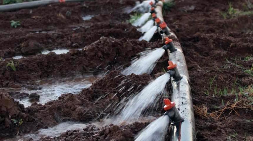 DEDAŞ: Tarımsal sulamada elektrik tüketimi yüzde 260 arttı