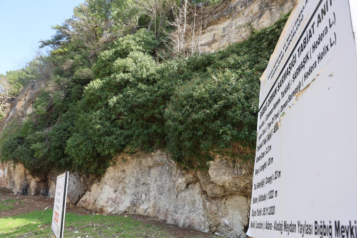 4 bin yıllık doğa mucizesi! Baharla birlikte ziyaret&ccedil;i akını başladı 1