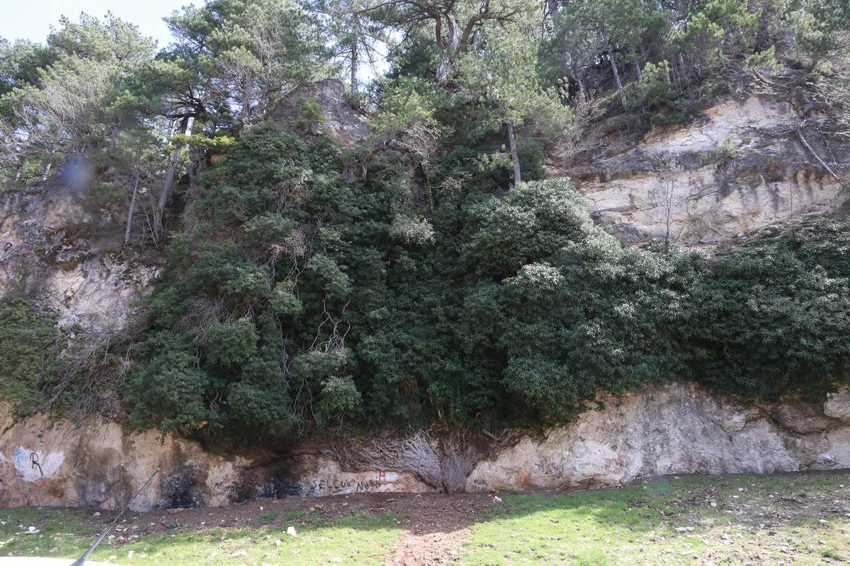 4 bin yıllık doğa mucizesi! Baharla birlikte ziyaret&ccedil;i akını başladı 2