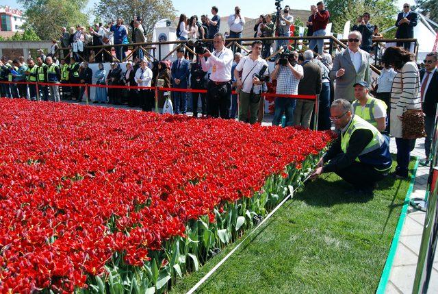 Lalelerle Türk bayrağı rekoru