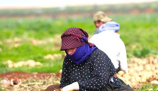 Milyonlarca haneye girecek!