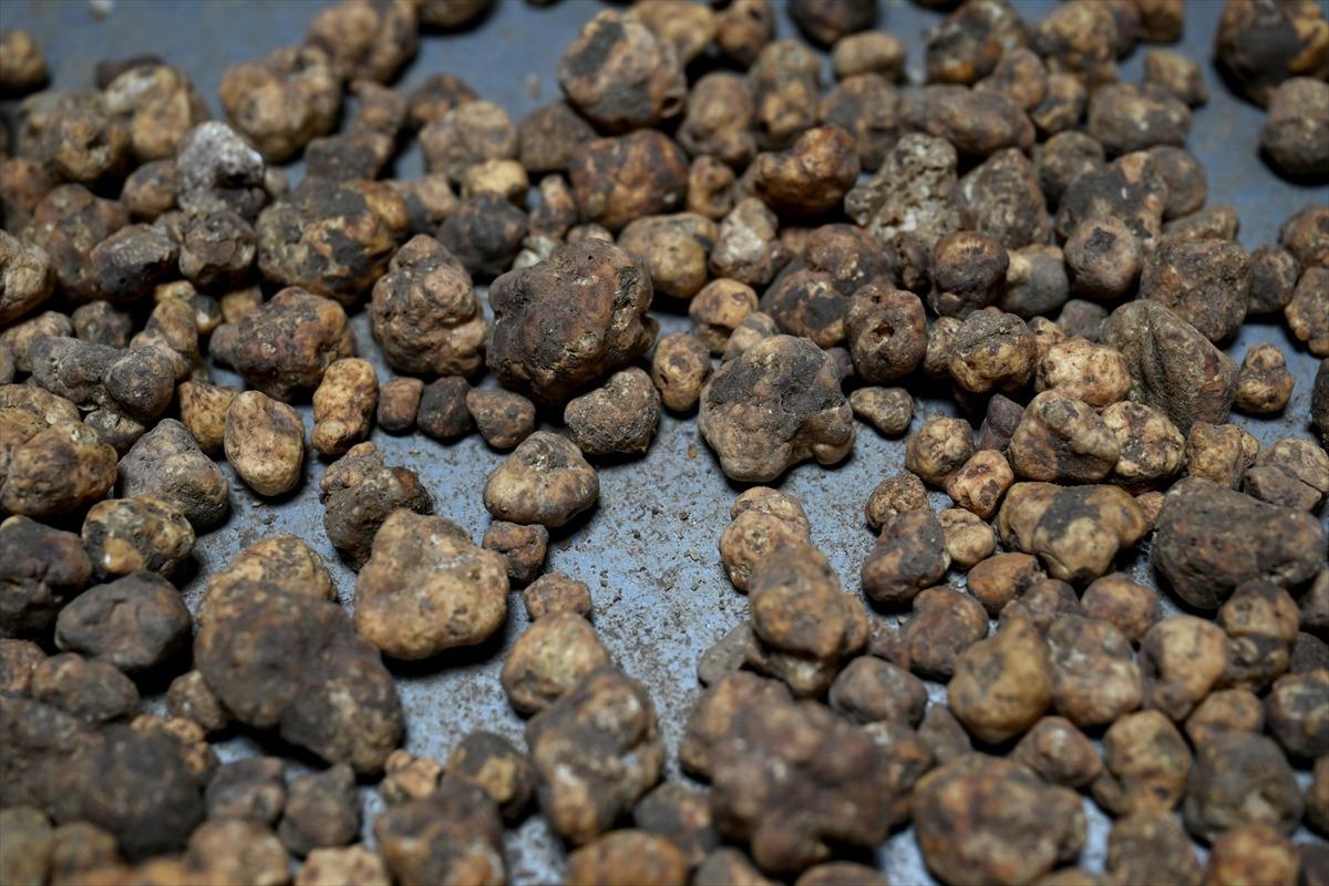 İtalya&rsquo;dan bu iş i&ccedil;in T&uuml;rkiye ye geldi: Euro &uuml;zerinden satılıyor! 6