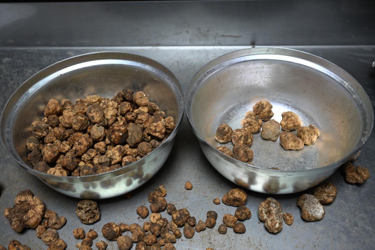 İtalya&rsquo;dan bu iş i&ccedil;in T&uuml;rkiye ye geldi: Euro &uuml;zerinden satılıyor! 8